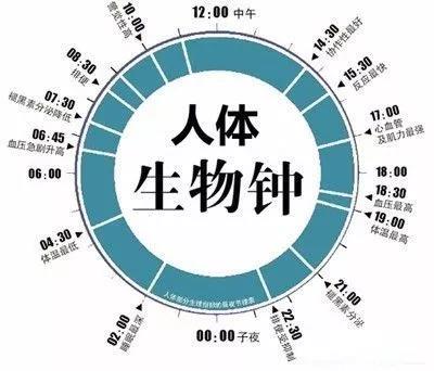bet8·(股份)有限公司官网